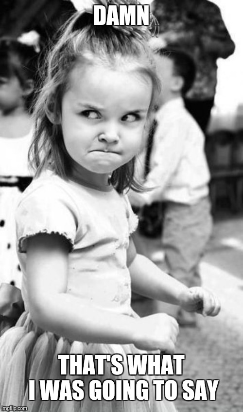 Angry Toddler Meme | DAMN THAT'S WHAT I WAS GOING TO SAY | image tagged in memes,angry toddler | made w/ Imgflip meme maker