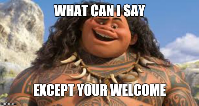 Your welcome | WHAT CAN I SAY EXCEPT YOUR WELCOME | image tagged in your welcome | made w/ Imgflip meme maker