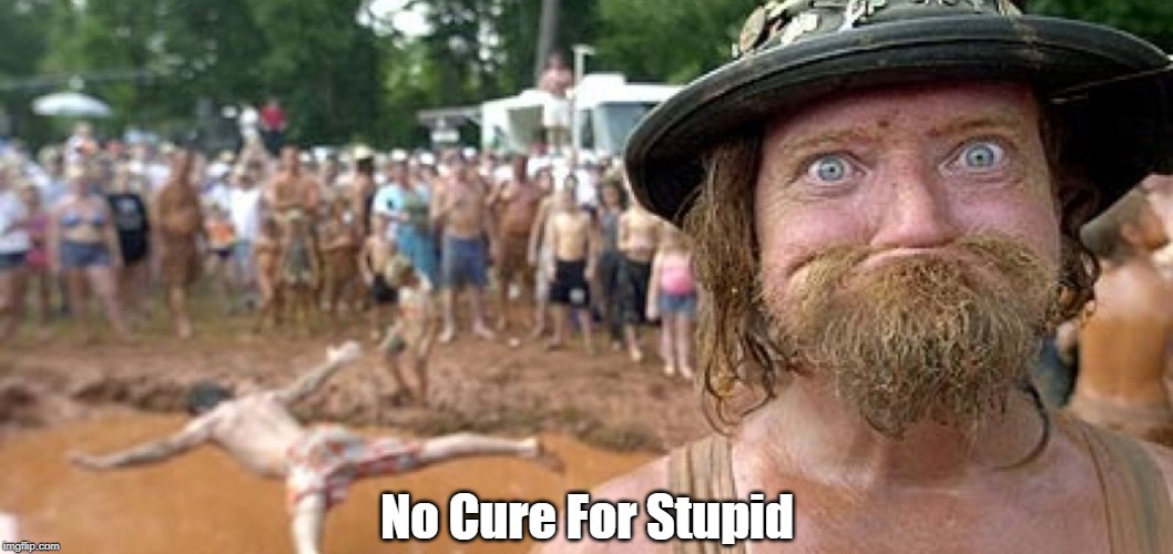 No Cure For Stupid | made w/ Imgflip meme maker