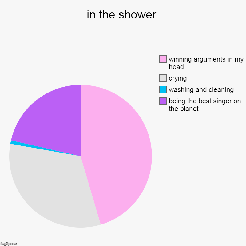 in the shower | being the best singer on the planet, washing and cleaning, crying, winning arguments in my head | image tagged in charts,pie charts | made w/ Imgflip chart maker