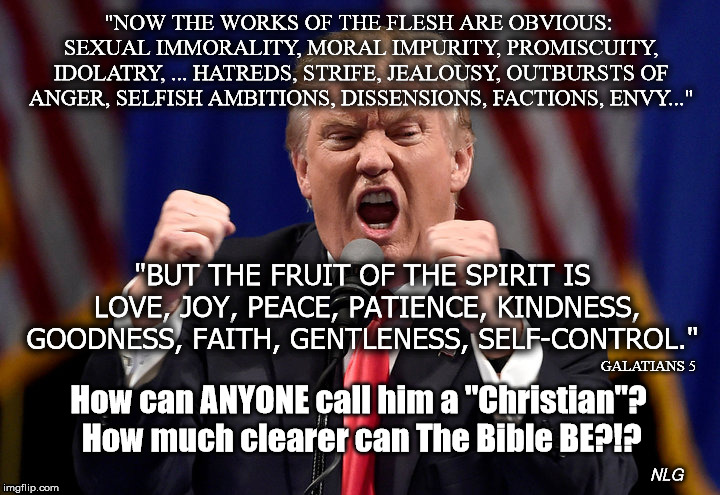 trump a Christian?? | "NOW THE WORKS OF THE FLESH ARE OBVIOUS: SEXUAL IMMORALITY, MORAL IMPURITY, PROMISCUITY, IDOLATRY, ... HATREDS, STRIFE, JEALOUSY, OUTBURSTS OF ANGER, SELFISH AMBITIONS, DISSENSIONS, FACTIONS, ENVY..."; "BUT THE FRUIT OF THE SPIRIT IS LOVE, JOY, PEACE, PATIENCE, KINDNESS, GOODNESS, FAITH, GENTLENESS, SELF-CONTROL."; GALATIANS 5; How can ANYONE call him a "Christian"? How much clearer can The Bible BE?!? NLG | image tagged in politics | made w/ Imgflip meme maker