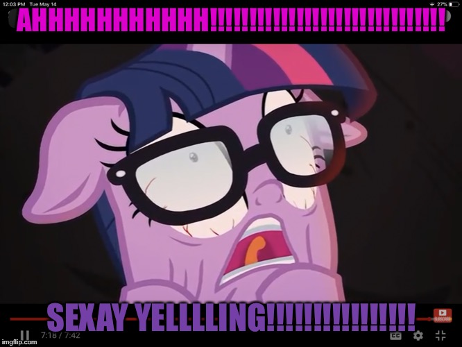 Twiii | AHHHHHHHHHHH!!!!!!!!!!!!!!!!!!!!!!!!!!!!!! SEXAY YELLLLING!!!!!!!!!!!!!!!! | image tagged in twiii | made w/ Imgflip meme maker