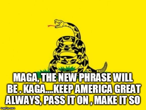 Gadsden Flag | MAGA, THE NEW PHRASE WILL BE . KAGA....KEEP AMERICA GREAT ALWAYS, PASS IT ON , MAKE IT SO | image tagged in gadsden flag | made w/ Imgflip meme maker