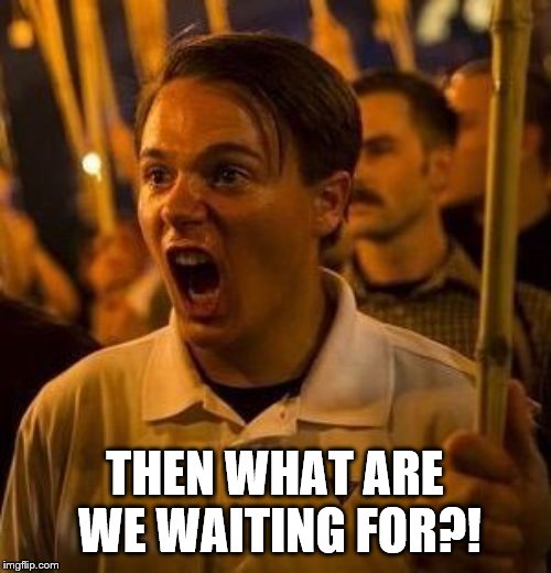 alt right douche | THEN WHAT ARE WE WAITING FOR?! | image tagged in alt right douche | made w/ Imgflip meme maker