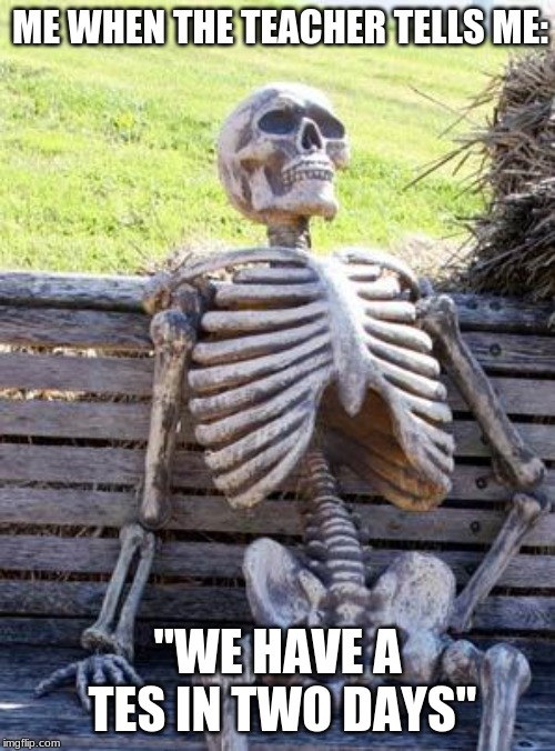 Waiting Skeleton | ME WHEN THE TEACHER TELLS ME:; "WE HAVE A TES IN TWO DAYS" | image tagged in memes,waiting skeleton | made w/ Imgflip meme maker