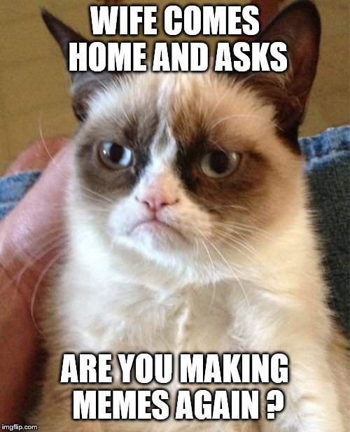 Grumpy Cat | WIFE COMES HOME AND ASKS; ARE YOU MAKING MEMES AGAIN ? | image tagged in memes,grumpy cat | made w/ Imgflip meme maker