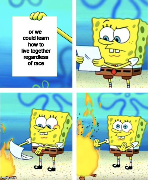 Spongebob Burning Paper | or we could learn how to live together regardless of race | image tagged in spongebob burning paper | made w/ Imgflip meme maker