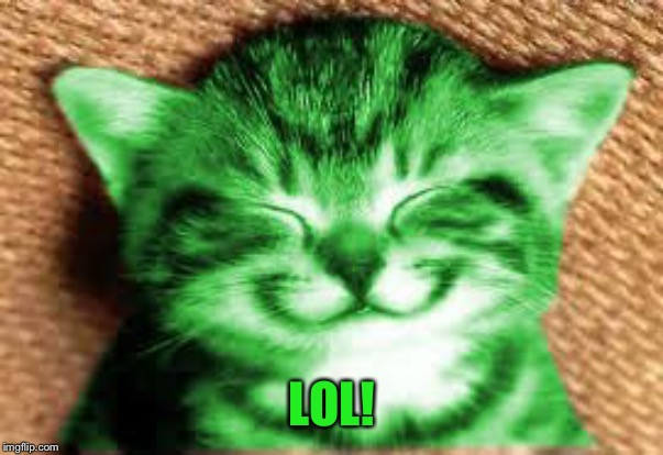 happy RayCat | LOL! | image tagged in happy raycat | made w/ Imgflip meme maker