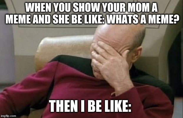 Captain Picard Facepalm | WHEN YOU SHOW YOUR MOM A MEME AND SHE BE LIKE: WHATS A MEME? THEN I BE LIKE: | image tagged in memes,captain picard facepalm | made w/ Imgflip meme maker
