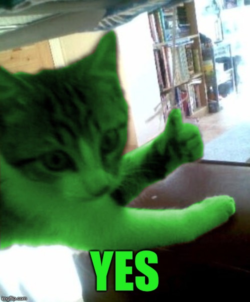 thumbs up RayCat | YES | image tagged in thumbs up raycat | made w/ Imgflip meme maker