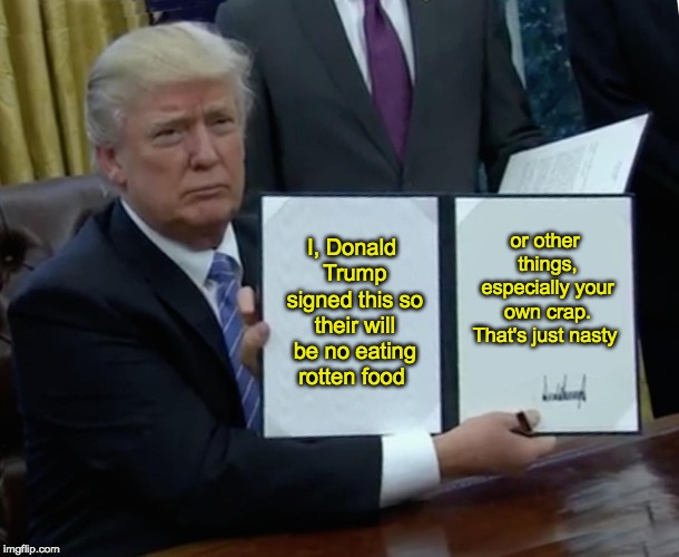 Trump Bill Signing Meme | I, Donald Trump signed this so their will be no eating rotten food; or other things, especially your own crap. That's just nasty | image tagged in memes,trump bill signing | made w/ Imgflip meme maker