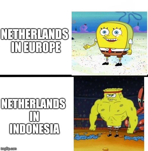 Blank Starter Pack Meme | NETHERLANDS IN EUROPE; NETHERLANDS IN INDONESIA | image tagged in memes,blank starter pack | made w/ Imgflip meme maker