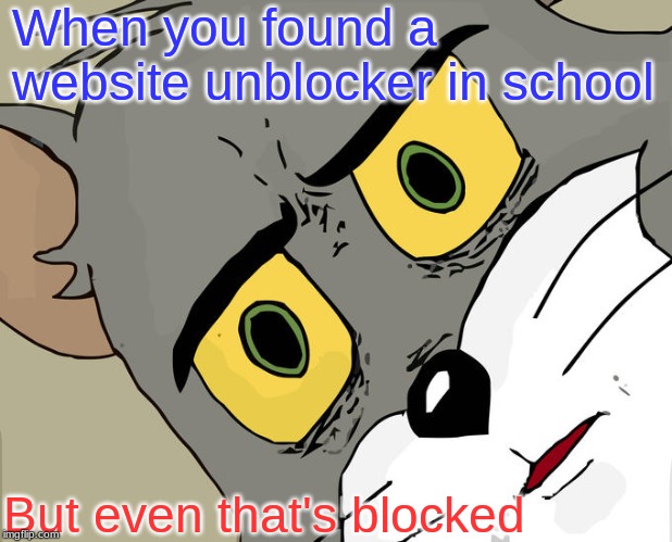 Website unblockers in school | When you found a website unblocker in school; But even that's blocked | image tagged in memes,unsettled tom,school meme,website,annoying,teacher meme | made w/ Imgflip meme maker