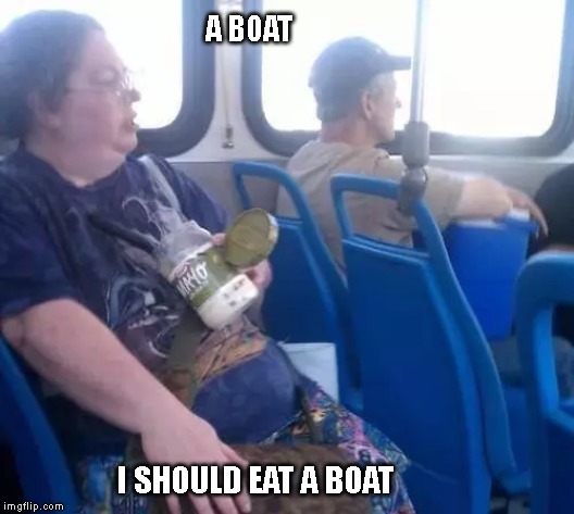 a boat i should eat a boat | A BOAT; I SHOULD EAT A BOAT | image tagged in cat memes,funny cat memes,mayonnaise guy meme,wtf lol stupid,crazy guy on a bus meme,crazy fucking guy | made w/ Imgflip meme maker