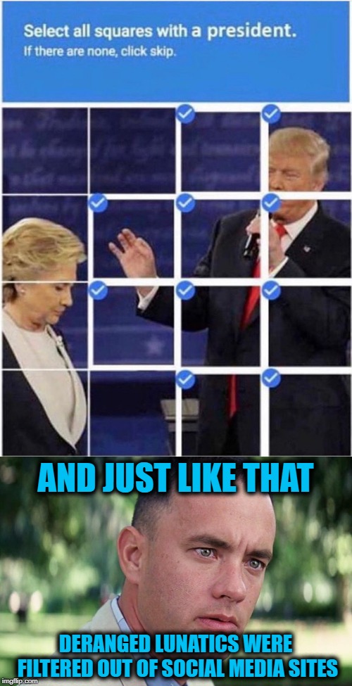 Simple Idea, Vast Improvement | AND JUST LIKE THAT; DERANGED LUNATICS WERE FILTERED OUT OF SOCIAL MEDIA SITES | image tagged in and just like that,leftist captcha | made w/ Imgflip meme maker