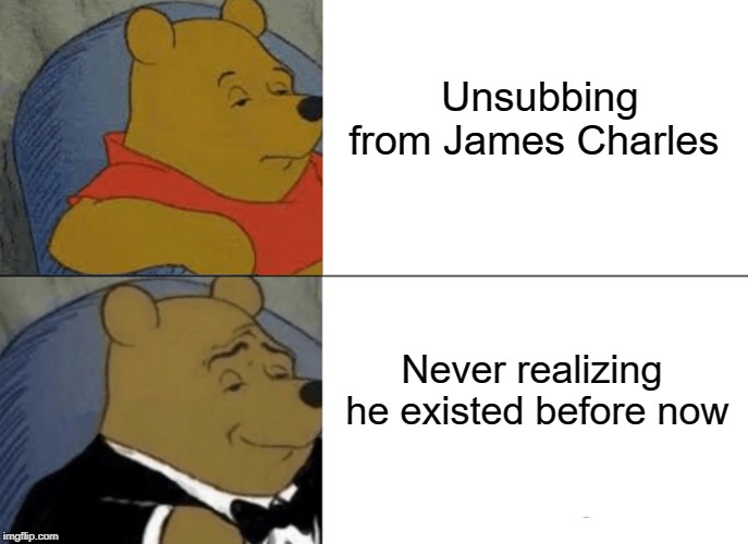 Tuxedo Winnie The Pooh | Unsubbing from James Charles; Never realizing he existed before now | image tagged in memes,tuxedo winnie the pooh | made w/ Imgflip meme maker