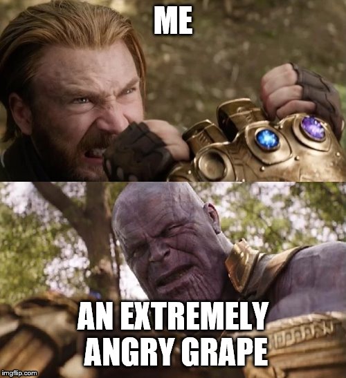 Avengers Infinity War Cap vs Thanos | ME; AN EXTREMELY ANGRY GRAPE | image tagged in avengers infinity war cap vs thanos | made w/ Imgflip meme maker