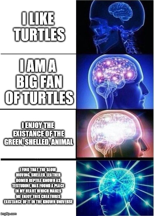 Expanding Brain Meme | I LIKE TURTLES; I AM A BIG FAN OF TURTLES; I ENJOY THE EXISTANCE OF THE GREEN, SHELLED, ANIMAL; I FIND THAT THE SLOW MOVING, SHELLED, LEATHER DOMED REPTILE KNOWN AS TESTUDINE, HAS FOUND A PLACE IN MY HEART WHICH MAKES ME ENJOY THIS CREATURES EXISTANCE OF IT IN THE KNOWN UNIVERSE | image tagged in memes,expanding brain | made w/ Imgflip meme maker