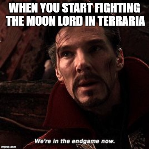 We're in the end game now | WHEN YOU START FIGHTING THE MOON LORD IN TERRARIA | image tagged in we're in the end game now | made w/ Imgflip meme maker