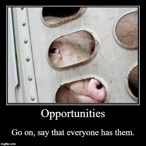 Opportunities Demotivational | image tagged in demotivationals,dark humor,pig | made w/ Imgflip demotivational maker