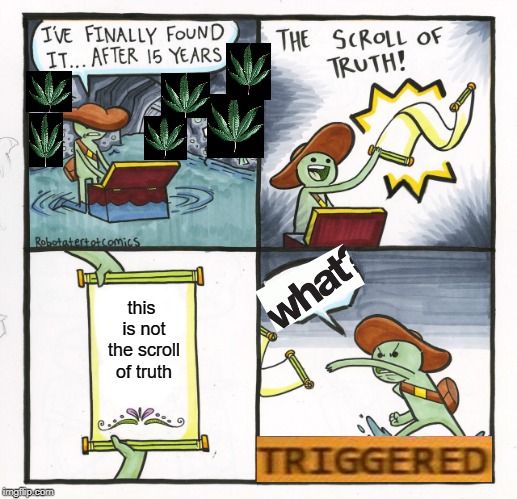 The Scroll Of Truth | this is not the scroll of truth | image tagged in memes,the scroll of truth | made w/ Imgflip meme maker