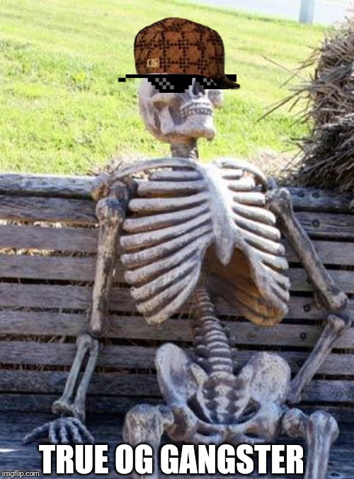 Waiting Skeleton Meme | TRUE OG GANGSTER | image tagged in memes,waiting skeleton | made w/ Imgflip meme maker