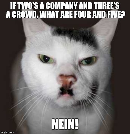 Nazi Cat | IF TWO'S A COMPANY AND THREE'S A CROWD, WHAT ARE FOUR AND FIVE? NEIN! | image tagged in nazi cat | made w/ Imgflip meme maker
