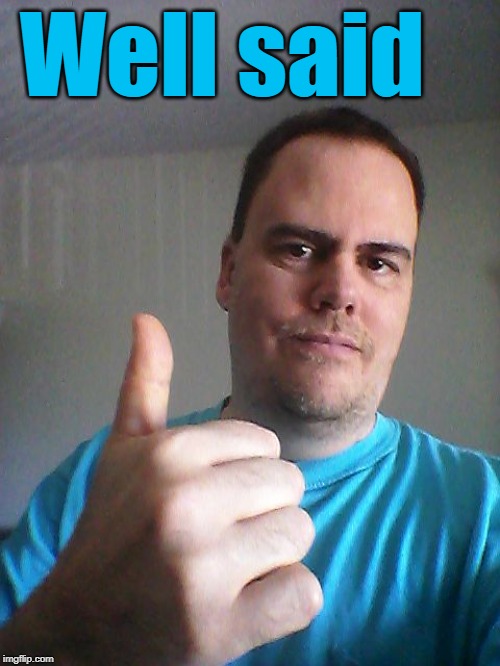 Thumbs up | Well said | image tagged in thumbs up | made w/ Imgflip meme maker