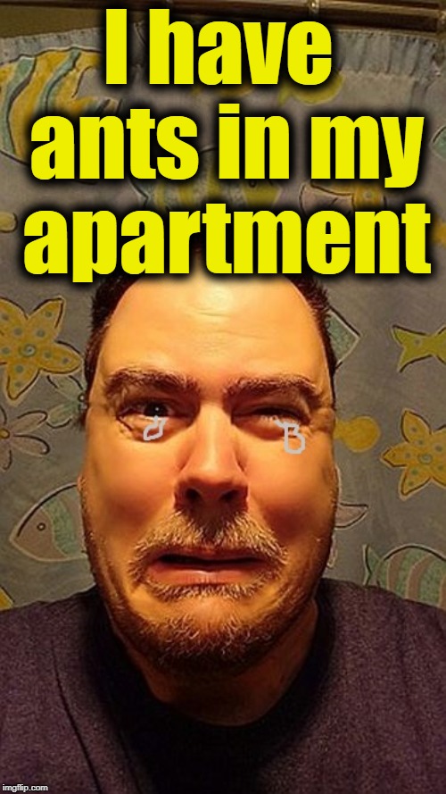 z1vljb | I have ants in my apartment | image tagged in z1vljb | made w/ Imgflip meme maker