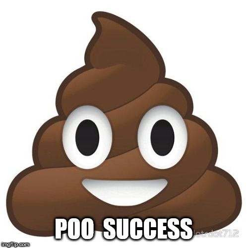 poop | POO  SUCCESS | image tagged in poop | made w/ Imgflip meme maker
