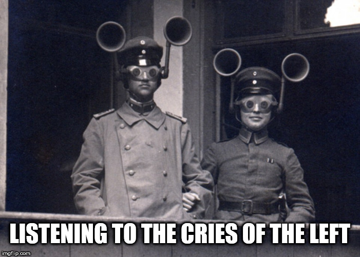 hearing the dnc | LISTENING TO THE CRIES OF THE LEFT | image tagged in hearing the dnc | made w/ Imgflip meme maker