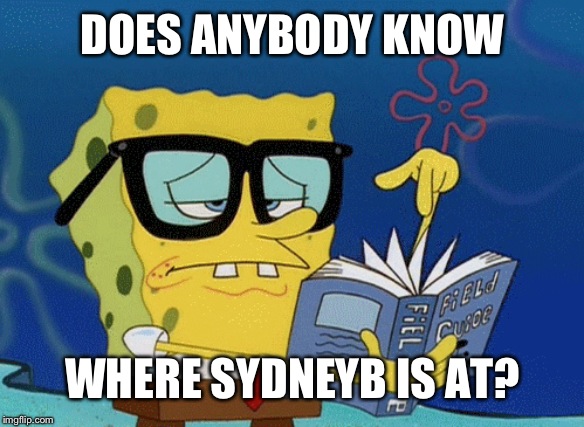 spongebob with glasses searching | DOES ANYBODY KNOW; WHERE SYDNEYB IS AT? | image tagged in spongebob with glasses searching | made w/ Imgflip meme maker