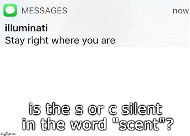 Illuminati text | is the s or c silent in the word "scent"? | image tagged in illuminati text | made w/ Imgflip meme maker