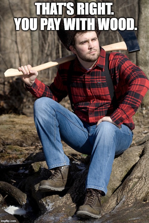Solemn Lumberjack Meme | THAT'S RIGHT. YOU PAY WITH WOOD. | image tagged in memes,solemn lumberjack | made w/ Imgflip meme maker