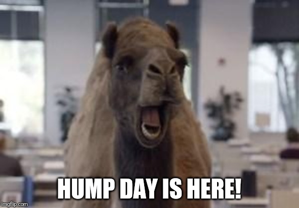 Hump Day Camel | HUMP DAY IS HERE! | image tagged in hump day camel | made w/ Imgflip meme maker