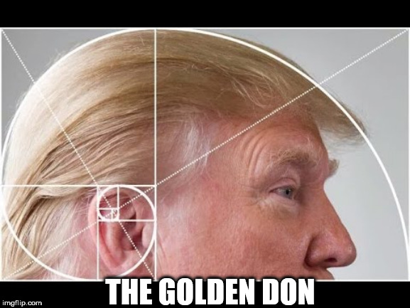 trump | THE GOLDEN DON | image tagged in trump | made w/ Imgflip meme maker