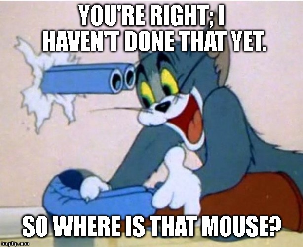 Tom and Jerry | YOU'RE RIGHT; I HAVEN'T DONE THAT YET. SO WHERE IS THAT MOUSE? | image tagged in tom and jerry | made w/ Imgflip meme maker