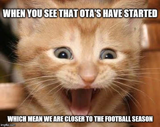 NFL OTA's | WHEN YOU SEE THAT OTA'S HAVE STARTED; WHICH MEAN WE ARE CLOSER TO THE FOOTBALL SEASON | image tagged in memes,excited cat,nfl | made w/ Imgflip meme maker