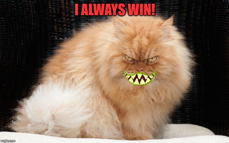 Angry Cat Smiling | I ALWAYS WIN! | image tagged in angry cat smiling | made w/ Imgflip meme maker
