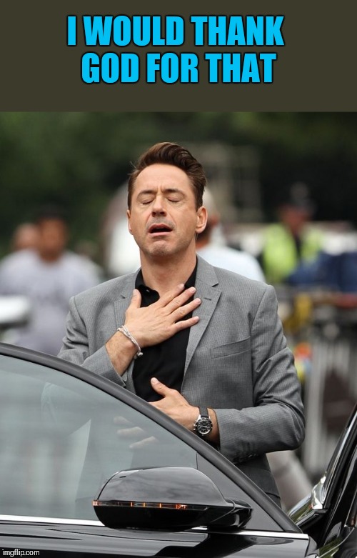 Robert Downey Jr | I WOULD THANK GOD FOR THAT | image tagged in robert downey jr | made w/ Imgflip meme maker