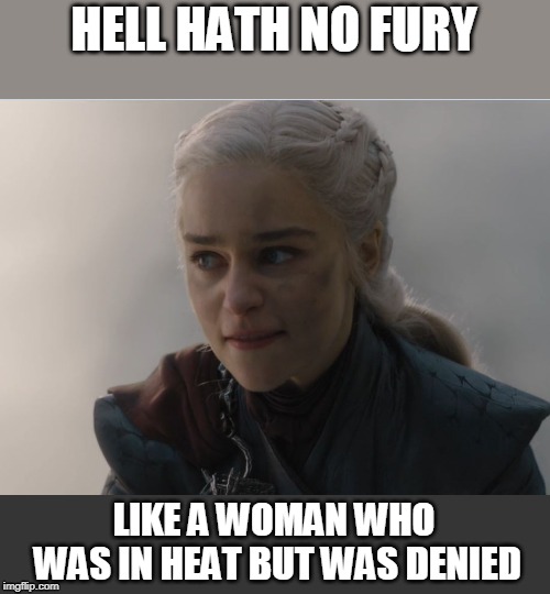 Never ever reject a woman in heat... even if she's your aunt | HELL HATH NO FURY; LIKE A WOMAN WHO WAS IN HEAT BUT WAS DENIED | image tagged in got,daenarys,jon | made w/ Imgflip meme maker
