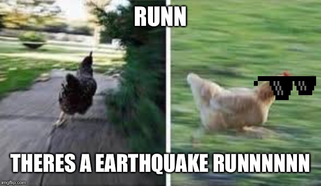 running chicken | RUNN; THERES A EARTHQUAKE RUNNNNNN | image tagged in running chicken | made w/ Imgflip meme maker