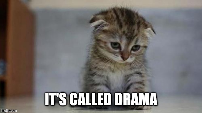 Sad kitten | IT'S CALLED DRAMA | image tagged in sad kitten | made w/ Imgflip meme maker