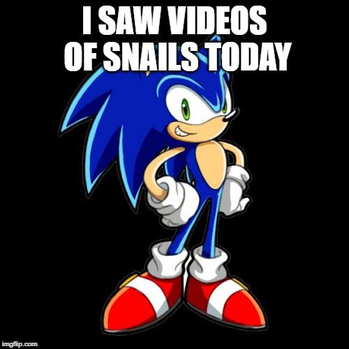 You're Too Slow Sonic Meme | I SAW VIDEOS OF SNAILS TODAY | image tagged in memes,youre too slow sonic | made w/ Imgflip meme maker