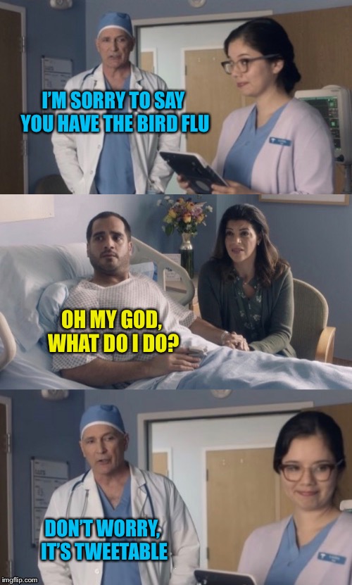 New Template!  (Top and Bottom are switched) | I’M SORRY TO SAY YOU HAVE THE BIRD FLU; OH MY GOD, WHAT DO I DO? DON’T WORRY, IT’S TWEETABLE | image tagged in just ok surgeon commercial flipped,memes | made w/ Imgflip meme maker