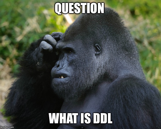Gorilla Scratching Head | QUESTION; WHAT IS DDL | image tagged in gorilla scratching head | made w/ Imgflip meme maker