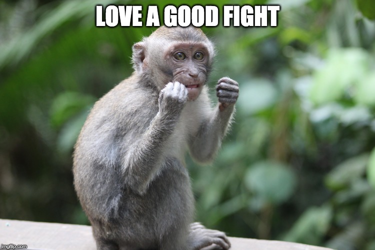 LOVE A GOOD FIGHT | made w/ Imgflip meme maker