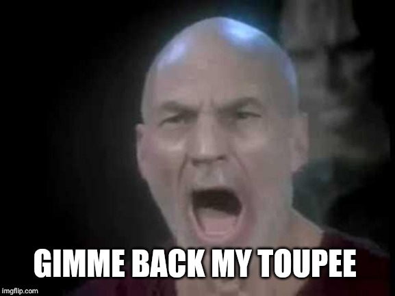 Picard Four Lights | GIMME BACK MY TOUPEE | image tagged in picard four lights | made w/ Imgflip meme maker