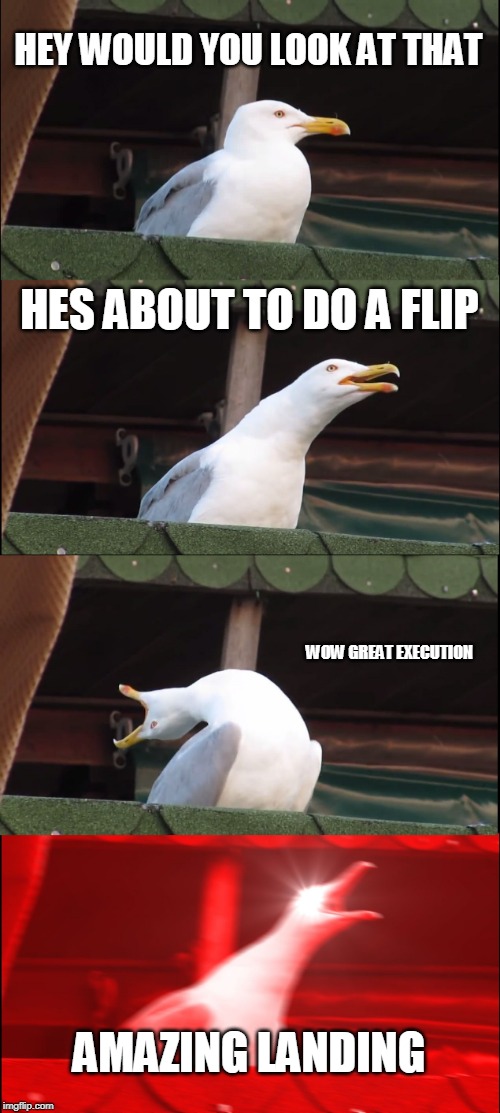 Inhaling Seagull | HEY WOULD YOU LOOK AT THAT; HES ABOUT TO DO A FLIP; WOW GREAT EXECUTION; AMAZING LANDING | image tagged in memes,inhaling seagull | made w/ Imgflip meme maker
