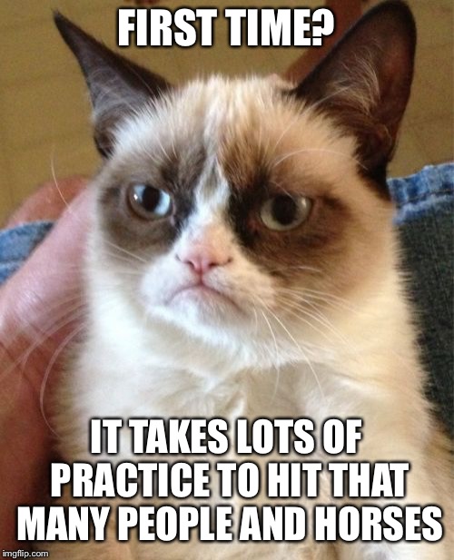 Grumpy Cat Meme | FIRST TIME? IT TAKES LOTS OF PRACTICE TO HIT THAT MANY PEOPLE AND HORSES | image tagged in memes,grumpy cat | made w/ Imgflip meme maker